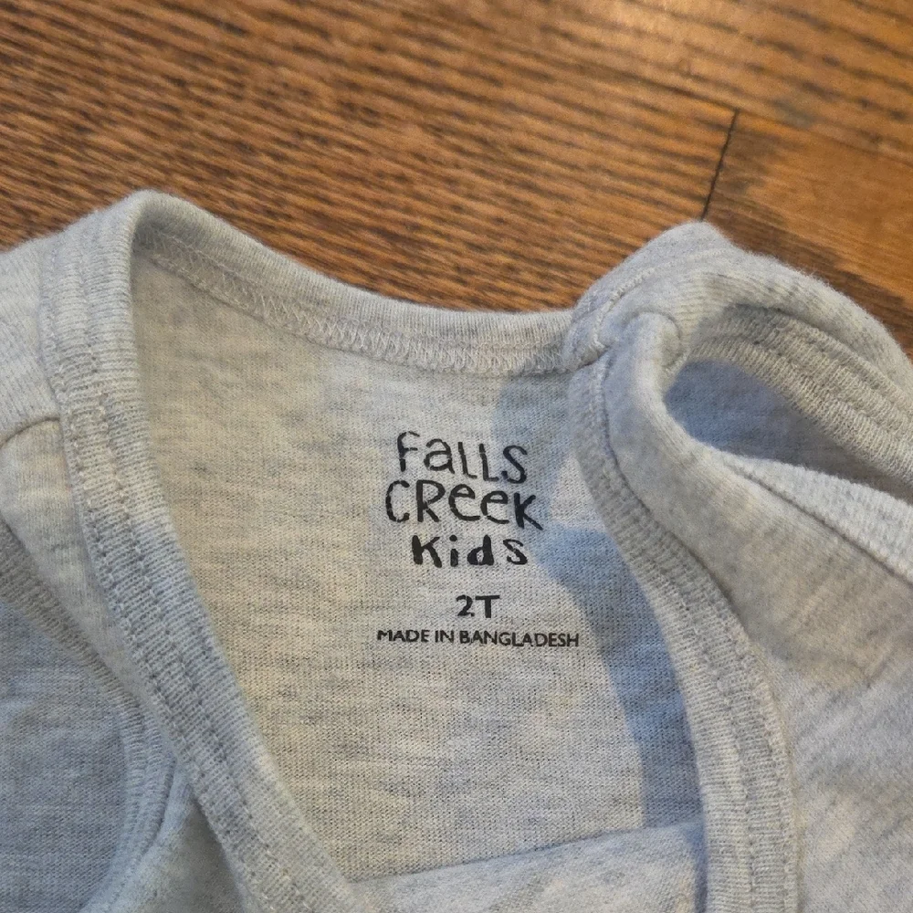 Falls Creek - Gray Dinosaur Tank Top - 2T
